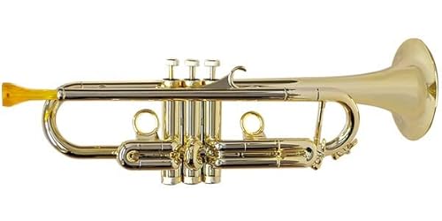 PLAYTECHivCebNj PTTR100GD vX`bNgybg S[hgybg