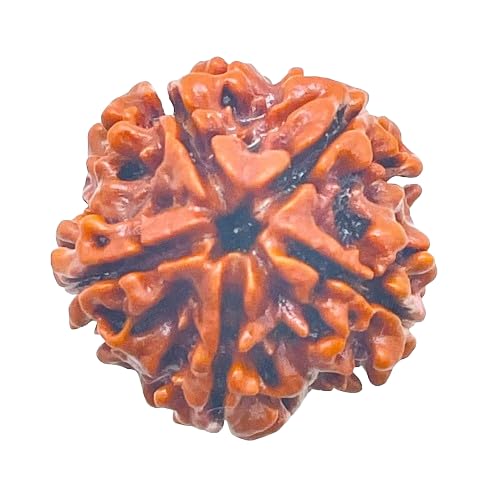 Fab Mark 5 mukhi rudraksha 5 Mukhi Rudraksha Pendant | Naturlal Lab Certified Rudraksha Beads | For a Good Peace of Mind