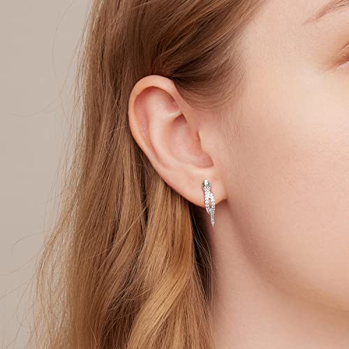Fashion CZ Snake Hoop Earrings 925 Sterling Silver Sparkling Crystal Green Eyes Small Huggie Hoops Cartilage Earrings Statement Punk Ear Jewelry Gifts for Women Girls Hypoallergenic3