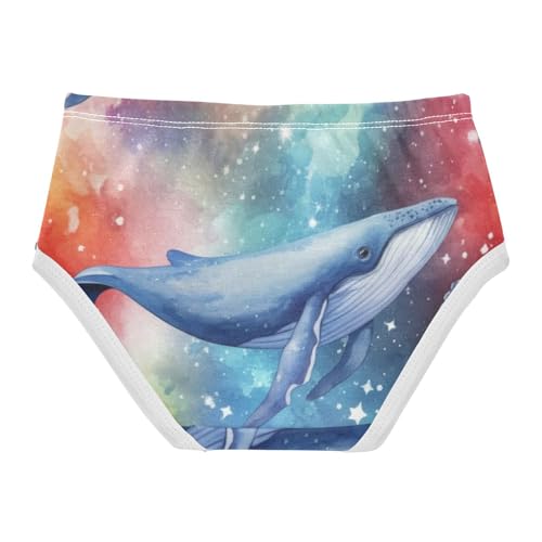 Funny Toddler Girls Underwear 2t Cotton Little Girl Panties Galaxy Whales Rainbow Briefs Kids Undies2