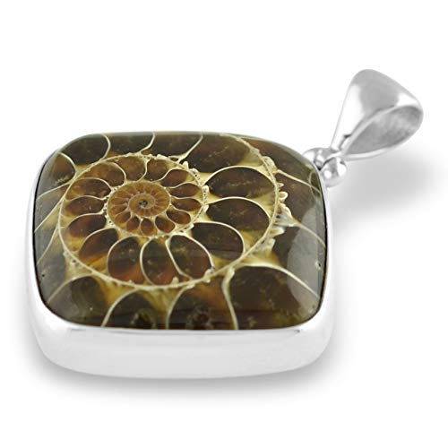 Starborn natural Ammonite Fossil Pendant 925 Sterling Silver4