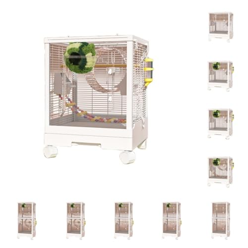 sandqvipaK P[W tNK̃P[W tgAN LxȃANZT[t oV[V C^NeBu (oCVOtAiX|[cpbP[Wj)