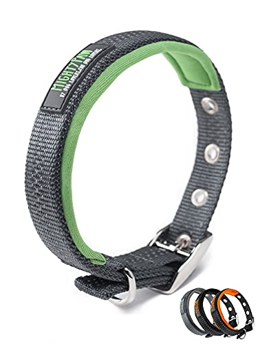 Mighty Paw Ultra Soft Dog Collar | Padded Comfort Pet Collar with Neoprene Lining. Made with High Visibility Reflective Threading and Weatherproof Nylon. Fits Small, Medium, and Large Breeds