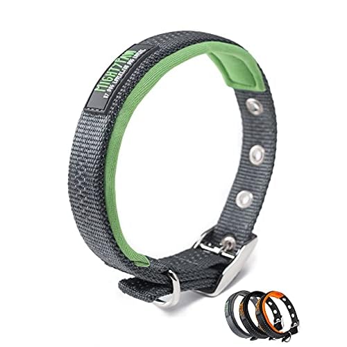 Mighty Paw Ultra Soft Dog Collar - All-Metal Adjustable Buckle for Large and Small Dogs - Super Soft Neoprene Padding for Ultimate Comfort - Heavy-Duty Hardware for Long Lasting Durability G