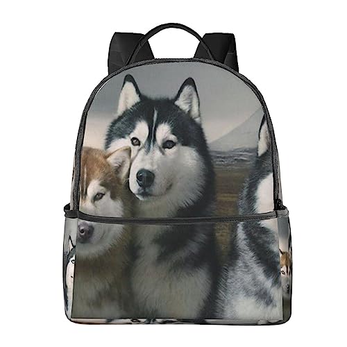 Sac à dos de voyage Husky BAFAFA antichoc pour protéger votre ordinateur au travail