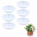 Outinhao Platos para Macetas, 6 Piezas Platillos para Plantas Transparente, 15cm Bajoplatos Redondos para Plantas de Interior y Exterior