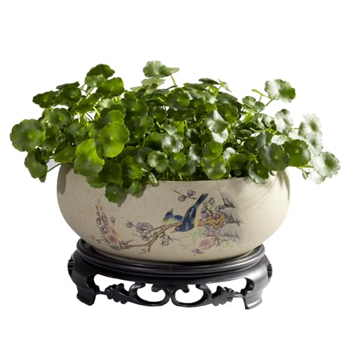 TOIVO Lotus Bowl Planter Coarse Pottery Water Lily Flower Pot with Plastic Base 7.8 inches (B-1)