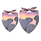 [TAMAÑO AJUSTABLE]: el tamaño del cuello de la bufanda para mascotas se puede ajustar para que coincida con el cuello de su mascota, cambie el tamaño a voluntad, tamaño de bandana para perros y gatos Dos tamaños: 16x16x22,8 pulgadas / 20,9x20,9x30 pulgadas