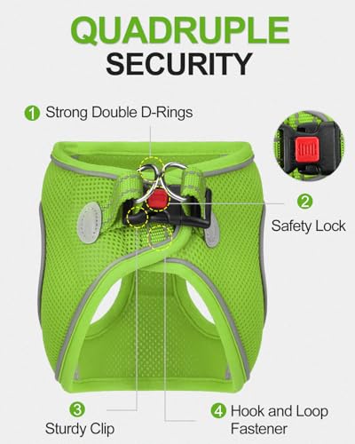 Joytale Hundegeschirr, Reflektierend Weich Gepolstert Hunde Geschirr, Air-Mesh Atmungsaktiv Brustgeschirr für Katze Welpen, Kleine Hunde, XXS, Grün
