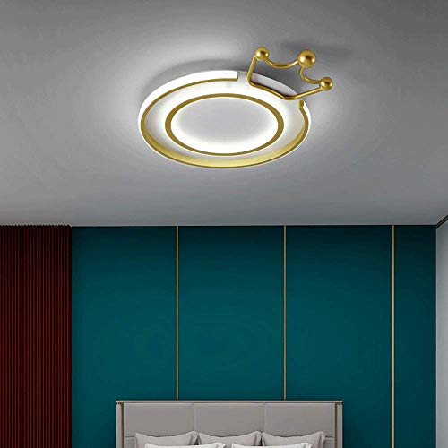Lampes de décoration de toit en acrylique à intensité variable de 19 pouces - 4