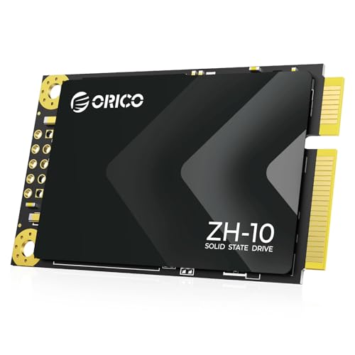 ORICO 256GB mSATA SSD SATA III, 3D NAND Unidad de Estado Sólido Interna para Portátiles Ultrabooks de Sobremesa-ZH10