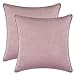 Alishomtll Zestaw 2 aksamitnych poszewek na poduszki, miękka poszewka na poduszkę 45 x 45 cm, dekoracyjna poszewka na poduszkę na sofę, różowa