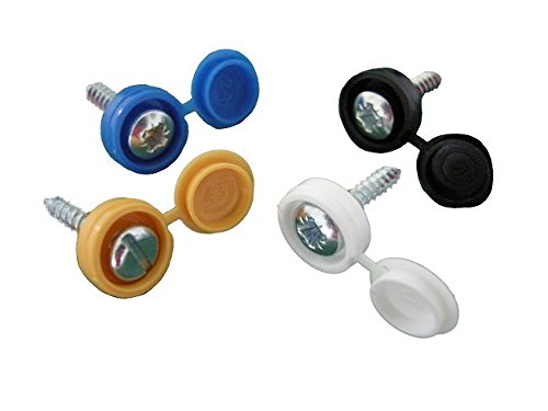 TecniksNP09 Number Plate Screws and Caps