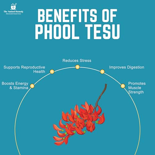 Image of Tesu Ke Phool 125g / Palash Flowers | Dried Tesu Flowers for Natural Color | Butea Monosperma Flowers for Hair Care, Skin Care & Herbal Use