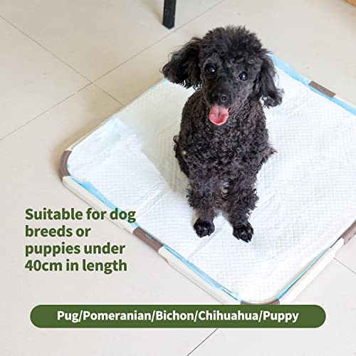 PAWISE Foldable Dog Pee Pad Holder, Indoor Puppy Potty Pee Pad Floor Tray Dog Toilet Training Tray Small and Medium Dogs, 21”X21” PAWISE Foldable Dog Pee Pad Holder, Indoor Puppy Potty Pee Pad Floor Tray Dog Toilet Training Tray Small and Medium Dogs, 21”X21”