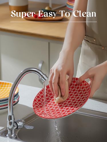 DOWAN Dinner Plates, Ø 21.5 cm Premium Porcelain Side Plate Set of 6, Salad Plates, Dessert Plate, Flat Dinner Set for Appetizer, Lunch, Salad, Steak, Microwave & Dishwasher Safe, Vibrant Color