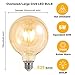 LED Bulbs 60 Watt Equivalent, 2 Pack 6W G125 LED Globe Bulbs, Antique Vintage Light Bulbs Amber, E26 LED Edison Light Bulb, 2700K 800LM Warm White, E26 Standard Base, Non-Dimmable