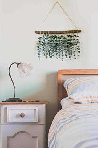 Lokovynes Artificial Eucalyptus Wall Decor - Wall Hanging Eucalyptus Greenery Gives Any Room A Natural, Trendy, Modern Feel - Boho Bedroom Decorations, Bathroom Wall Decor, Kitchen Decorations #TOP3