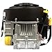 Briggs & Stratton 44S977-0032-G1 25 GHP Vertical Shaft Engine, Black