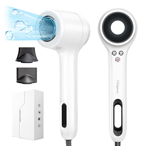 Professional Hair Dryer (White)