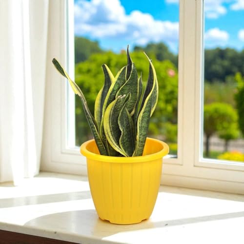 Image of Go Hooked Sunshine Flower Pot /Planters for Home Decor, Plastic Pots for Gardening /Home, Flower Pots Indoor-Outdoor & Planter for Plants (Yellow) (Pack of 4)