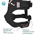 Petlando Hundegeschirr Mesh Vest, leichtes Brustgeschirr aus weichem Mesh & Nylon, stufenlos verstellbar, reflektierend mit 2 D-Ringen, Schwarz L, Welpengeschirr mitwachsend