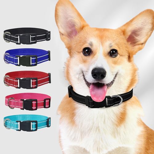 Collar Reflectante de Nylon para Perro, Ajustable, Talla M