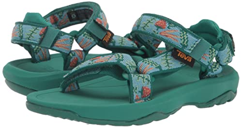 Teva Girls Hurricane Xlt 2 Sandal, Garden Pack Blue Sky, 13 Little Kid #TOP6