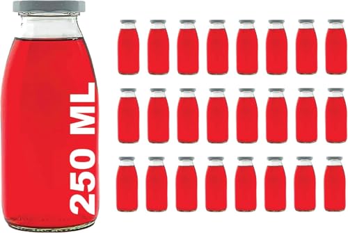 24 x 250 ml Leere Glasflaschen MIL Milchflaschen kleine Saftflasche mit Schraubverschluss 0,25 Liter l von slkfactory (24 Stück)