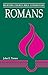 Romans (Believers Church Bible Commentary)