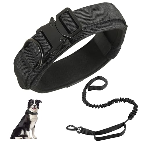 Leash Collar The 15 best products compared Wild Explained
