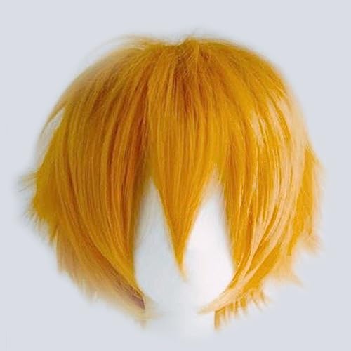 Gairyan Unisex Anime Cosplay Wigs - Orange Straight Fluffy Wigs for Women/Men - Costume Theme Party & Halloween - Image 4