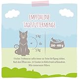 MjAMjAM - Premium Nassfutter für Katzen - köstliche Garnelen an saftigem Hühnchen, 6er Pack (6 x 400 g), getreidefrei mit extra viel Fleisch