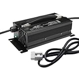 WLEJSL Chargeur Batterie Chariot Élévateur Entièrement Automatique 48 V 20 A, Chargeur Haute Puissance 1200 W avec Connecteur Anderson 50 A / 120 A / 175 A / 350 A,175A