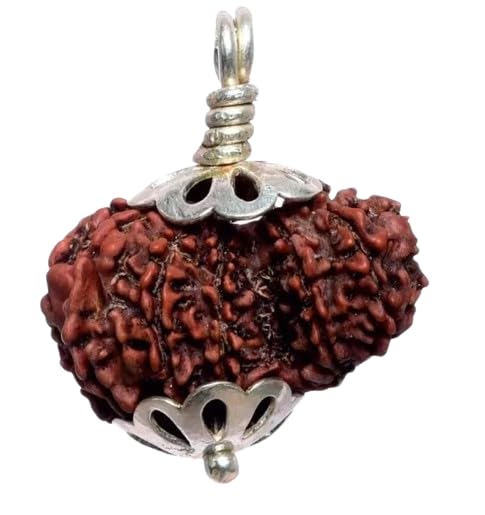 SRT Rudra Rare Garbh Gauri Rudraksha Nepali गौरी गणेश रुद्राक्ष Garbh Gauri Rudraksha Original With Certificate Brown Gauri Ganesh Rudraksha Bead For Locket-picture-33