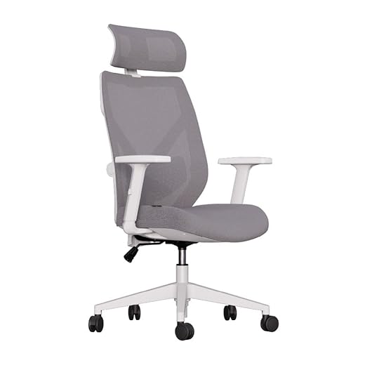 Cadeira de Escritório Ergonômica Albari com Encosto Mesh, Apoio Lombar Ajustável e Altura Regulável – Conforto para Home Office