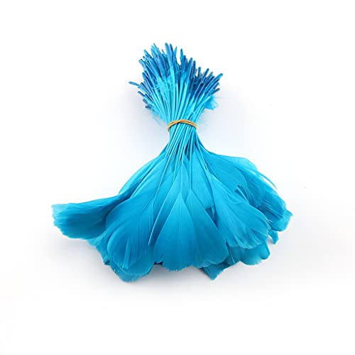 Shekyeon Goose Feather Plume Stripped Coque Feather for Clothing Hat Craft Decoration Pack of 50pcs (Turquoise)