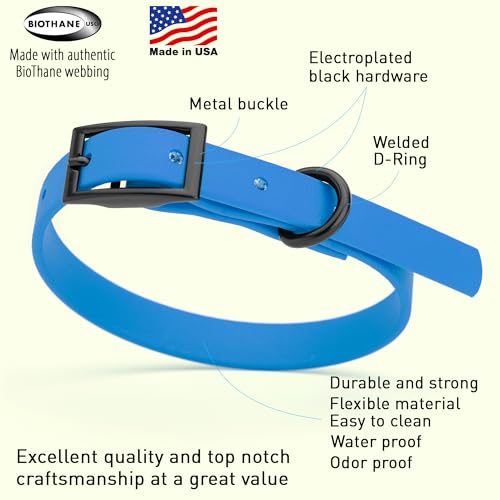 Image of Dogline Biothane Waterproof Dog Collar Strong Coated Nylon Webbing with Black Hardware Odor- Proof for Easy Care Easy to Clean High Performance Fits Small Medium or Large Dogs, Cerulean Blue