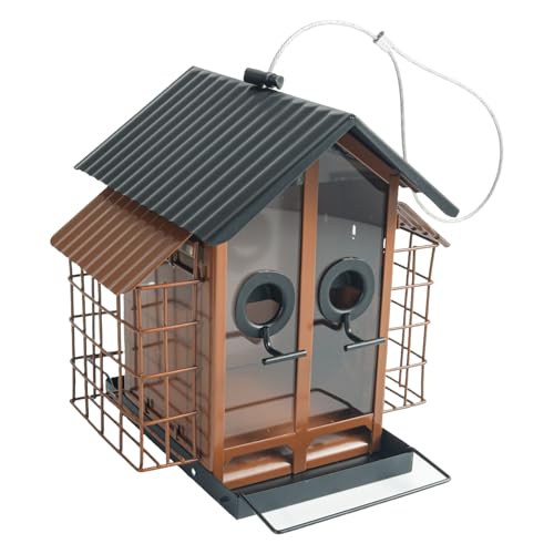 Mangeoire à oiseaux anti-écureuils double toit métal extérieur sauvage