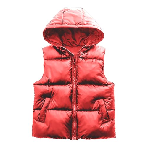 Boys Girls Winter Puffer Vest Hooded Lightweight Down Vests Sleeveless Kids Zipper Outerwear Coat Warm Quilted Puffy Jackets
