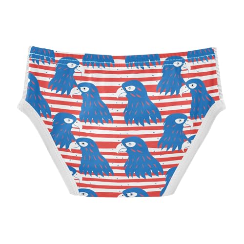 visesunny Boys Cotton Underwear Blue Eagle Stripe Printed Toddler Soft Training Briefs Size 2T-8Y for Kids2