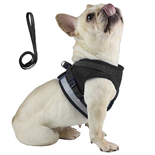 Open Puppy Harnesses | Anlitent