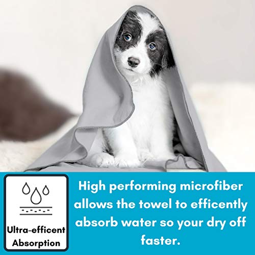 BirdRock Home Multi-Purpose Microfiber Towel for The Beach, Travel, Pets or Camping - Large 31 x 63” - Grey - Quick-Dry - Absorbent Lightweight Compact - Bag - Kids Hiking Outdoor - Corner Pockets