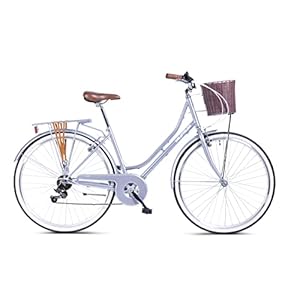 Wildtrak – Staal-stadsfiets, volwassenen, 700C, 6 versnellingen, Shimano-schakeling – grijs