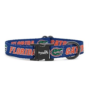 Florida Gators Adjustable Collars and Leashes | Officially Licensed | Fits All Pets! (Small Collar)