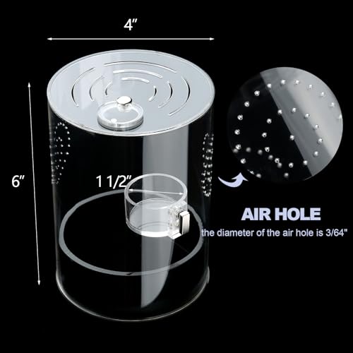 Kit inicial de gabinete de aranha saltadora com prato de alimentação, berços de tarântula para carac