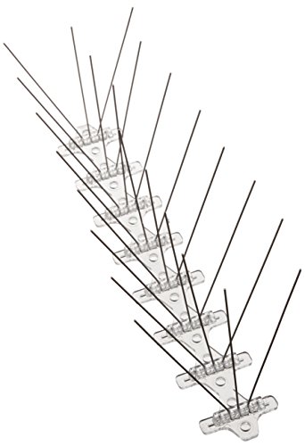 Bird B Gone Stainless Steel Bird Spikes - 6 ft Box