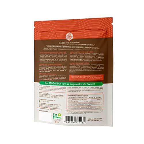 Cogumelo Turkey Tail em Pó 100g Viva Regenera