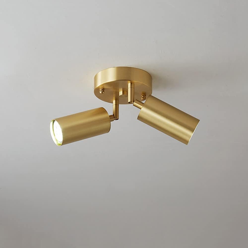 LED Ceiling Light Copper Round Plate Ceiling Spotlight Fixture Fixed Track Lighting Kit, Multi-Directional Accent Spot Lamp Spotlights for Bedroom Kitchen Living Room Office (2-Light)