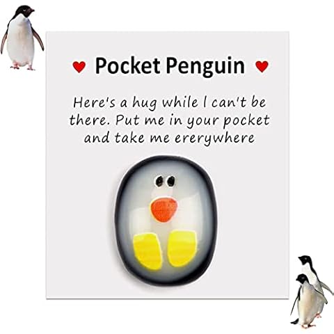 DOMINNE A Little Pocket Penguin Hug Decoration Mini Animal Pocket Hug Penguin Keepsake Ornament Encourage Gift for Family and Friends Cover